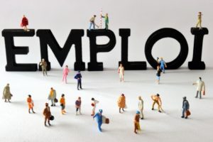 emploi
