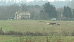 village de marques à Coutras-terre-agricole